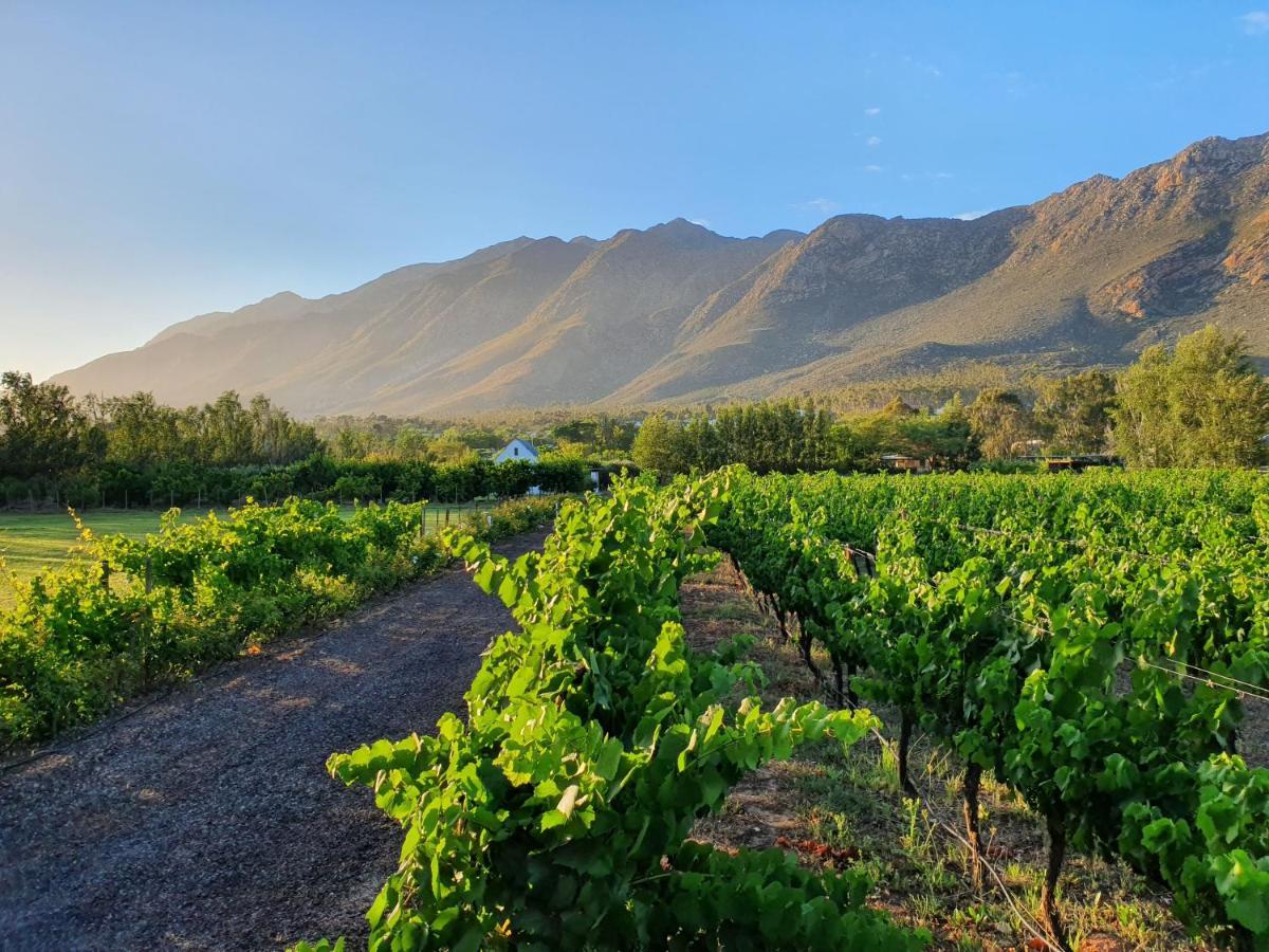 Klein Nektar Wine & Olive Estate Hotel Montagu Exterior photo