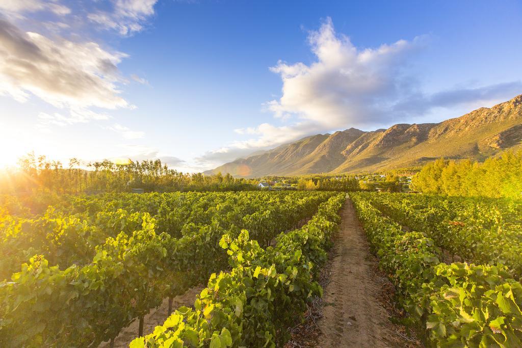 Klein Nektar Wine & Olive Estate Hotel Montagu Exterior photo